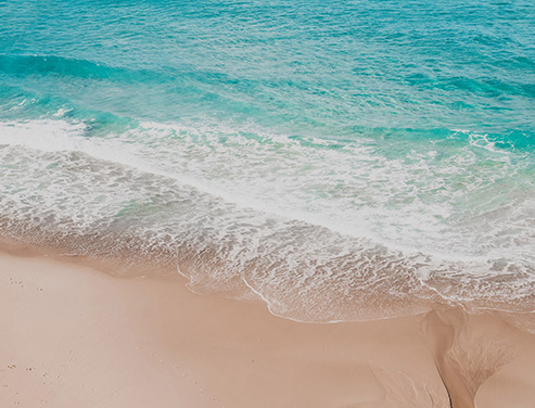 Whatever your article headline will be, it will display here for users to see.